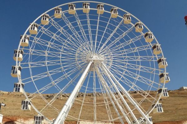 Ferris Wheel 40 (1)