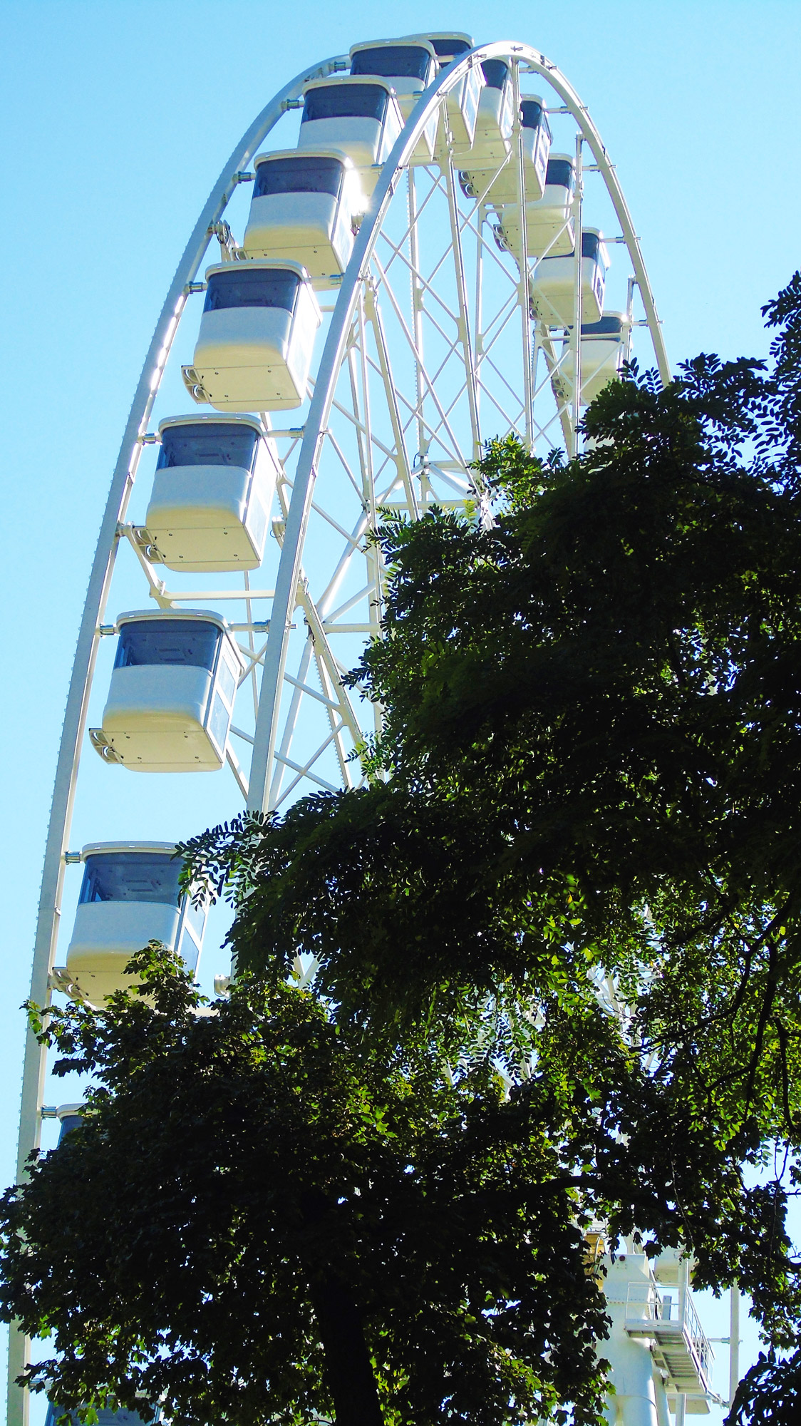 fabbri-giant-wheel-60-romania-4